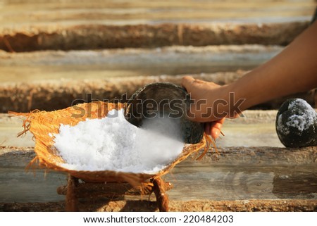 Work on the production of salt, the traditional method. Bali, Indonesia.