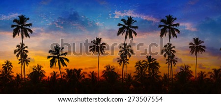 Coconut palms, sharply silhouetted against the bold orange, pink, lavendar and blue colors of a tropical sunset in Thailand, Southeast Asia.
