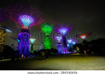 SINGAPORE - 01 JAN 2014: Tourists viewing the decorative, lighted towers of Gardens by the Bay in Singapore at night.