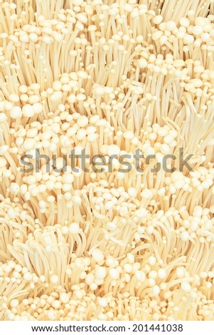 Mushroom, Golden Needle Mushroom.