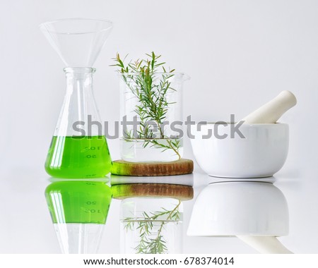 Natural organic botany and scientific glassware, Alternative herb medicine, Natural skin care beauty products, Research and development concept. (Selective Focus)