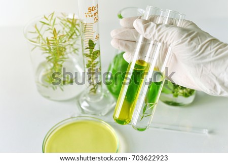 Natural medicine development in laboratory, Scientist researches and experiment green herbal extraction.