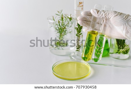 Natural medicine development in laboratory, Scientist researches and experiment green herbal extraction.