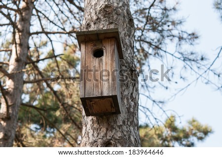 Interesting wooden nesting box in forest on big tree