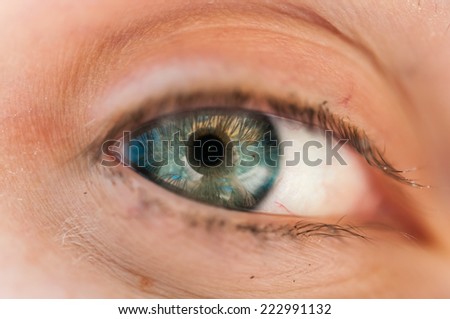 Close up colored big eye