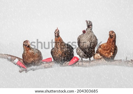 Four chickens sat in a row on a branch with their Santa hats and snow falling.