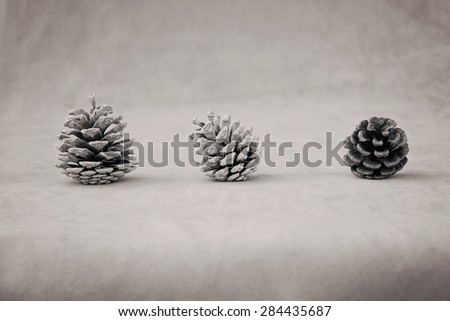 Three pine cones in a row on a suede backdrop. Black and white photograph with warm tone and shallow depth of field used.