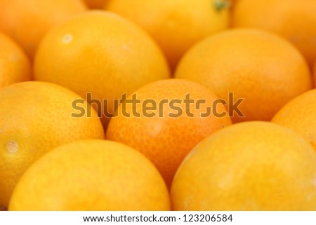 marco image of kumquat fruits against red background