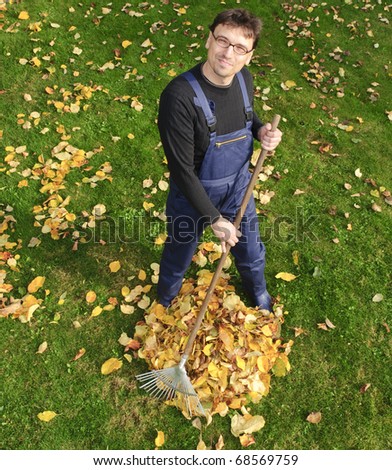 A grown man wearing blue overalls and right in the garden leaves into a heap together, looks into the camera