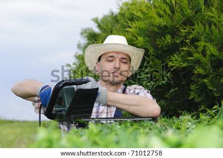 Adult man (gardener) in the blue overalls and straw hat cutting hedge with a electric hedge cutter