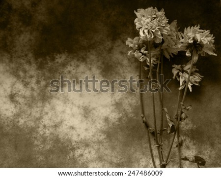 Flowers - condolence card