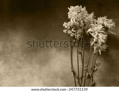 Condolence card with dry flowers