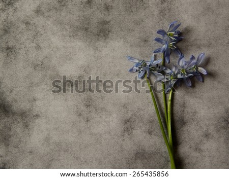 Condolence card with blue flowers