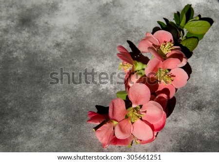Condolence card with flower
