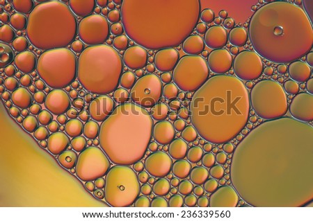 red oil bubbles on a water surface abstract background