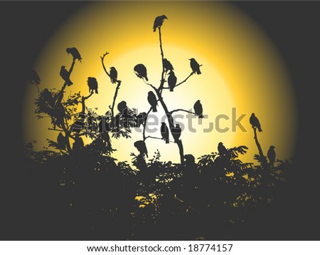 stock vector : Vector image of flock of birds sitting on branches silhouetted by sun