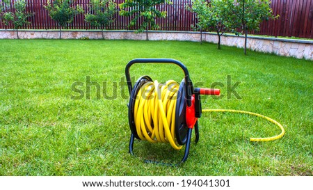 Coiled rubber garden yellow hose on grass