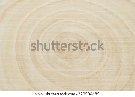 Wood section background. Section of a stump showing the age of the tree by the number of the circles