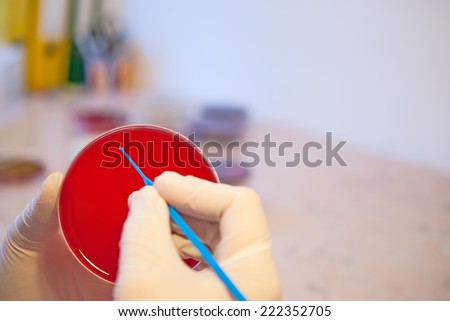 Laboratory doctor holding inoculation loop and petri dish. Medical laboratory concept