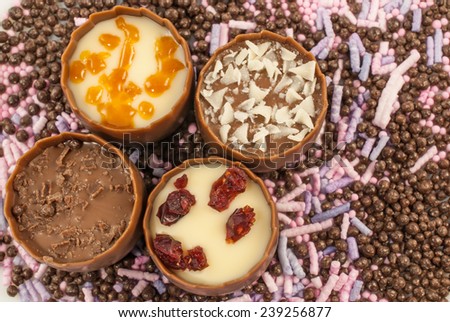 Pralines on chocolate balls background. Truffle center decorated with caramel pieces, cherry brandy truffle with cranberry pieces, truffle garnished with chocolate flakes and with chocolate shavings