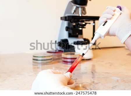 Laboratory doctor or scientific researcher using a pipette to take blood samples from a laboratory tube. Petri dishes and laboratory microscope in the background