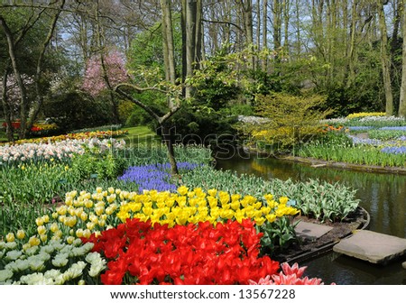 Beautiful different flowers in the spring garden. Keukenhof, Holland
