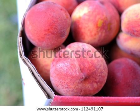 Organic peaches, of new harvest from organic farm. USA
