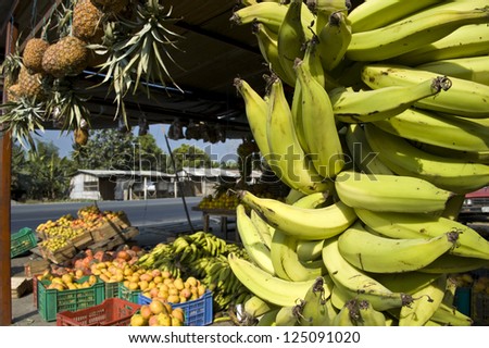 Banana Bunches, Latin America street market, Ecuador, Guayas province