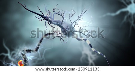3d medical illustration, nerve cells. Neurons concept for Neurological Diseases, tumors and brain surgery.