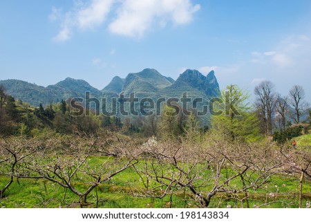 Spring, the southwest Chinese, pastoral landscapes of Guilin