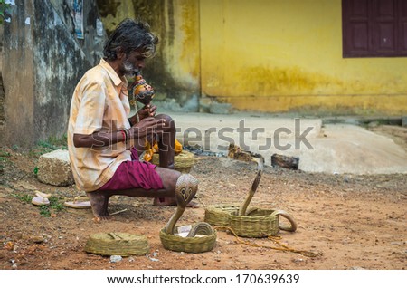VARKALA, INDIA - JANUARY 9: snake charmer enchanting cobras in a street of Varkala, India, January 9, 2014. People practice this dangerous job as a way of begging charity