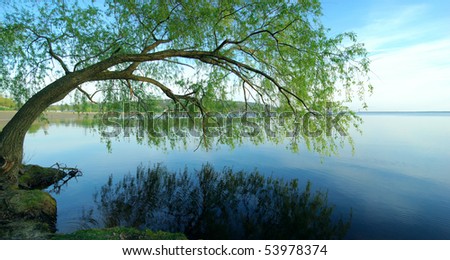 Summer landscape. Green trees reflected in the Dnieper river near the Kiev city.