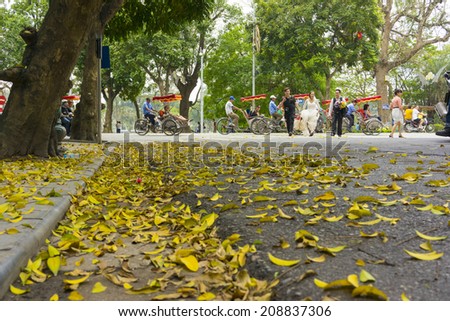 Hanoi, Vietnam - April 13, 2014: Traffic on street in falling season in Hanoi, Vietnam with a lot of yellow leaves laying on ground