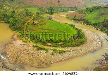 Terraced paddy field surrounded by river. Terraced paddy fields are used widely in rice, wheat and barley farming in east, south, and southeast Asia