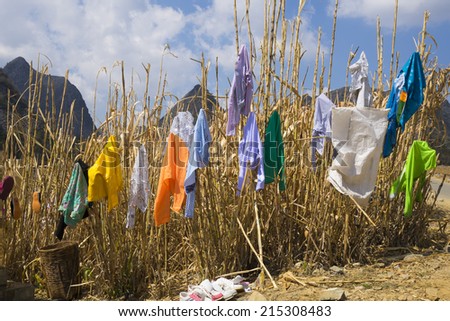 Hmong clothes drying on trees under sunlight by a mountainous road