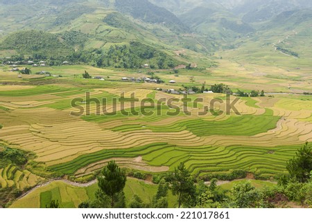 Terraced paddy field in Mu Cang Chai district, Yen Bai, Vietnam. Terraced paddy fields are used widely in rice, wheat and barley farming in east, south, and southeast Asia