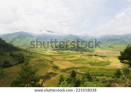 Terraced paddy field in Mu Cang Chai district, Yen Bai, Vietnam. Terraced paddy fields are used widely in rice, wheat and barley farming in east, south, and southeast Asia