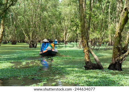 Tourism rowing boat in Tra Su indigo plant forest in An Giang, Mekong delta, Vietnam