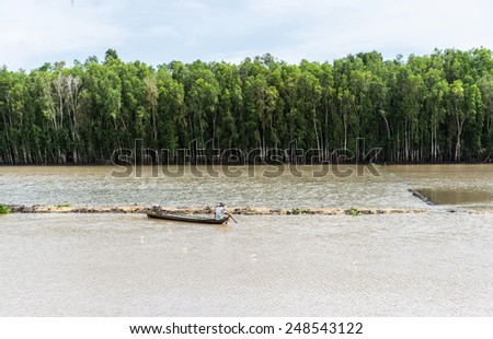 An Giang, Vietnam - Nov 29, 2014: Wide view of Tra Su flooded indigo plant forest