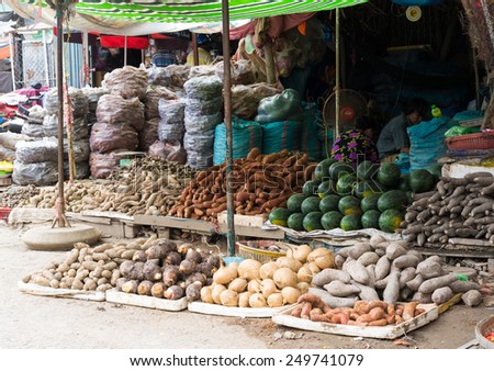Vinh Long, Vietnam - Nov 30, 2014: Tropical fruits displayed at Vinh Long fruit market, Mekong delta. The majority of Vietnam\'s fruits come from the many orchards of the Mekong Delta
