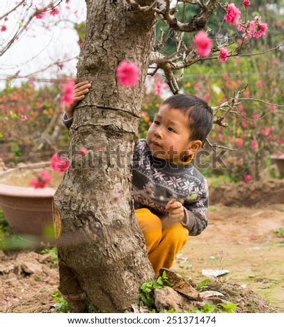 Hanoi, Vietnam - Feb 8, 2015: Unidentified child playing at Nhat Tan peach flower garden. Peach flower is symbol of Vietnamese lunar New Year \