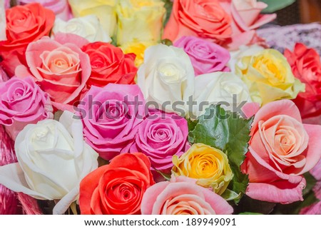 Colorful bouquet of roses.Wallpaper