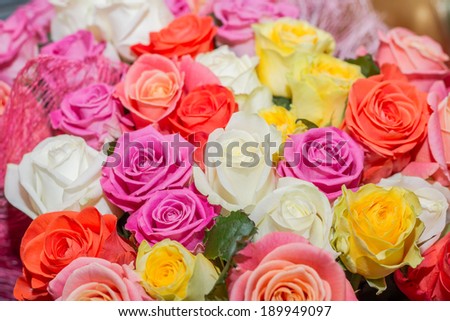 Colorful bouquet of roses.Wallpaper