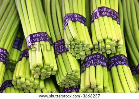 Leek Stalk