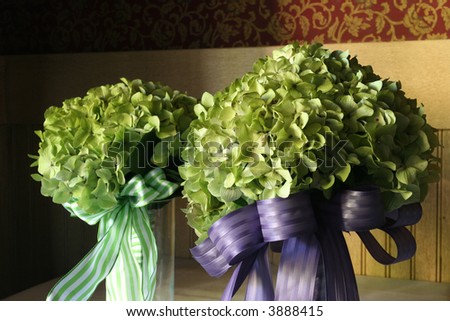 green bridal hydrangea bouquet