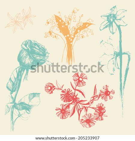 Set of hand drawn flowers. Rose, lily of the valley, hyacinth flower, daffodils, cone flower. Elements in retro style. Pastel backdrop. Illustration vector