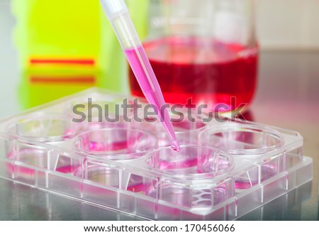 Laboratory work in cell culture pipetting the solution well plate