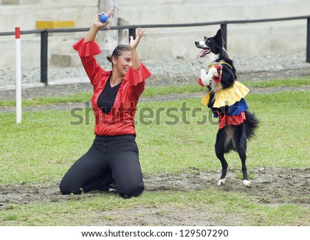 QUIMBAYA, COLOMBIA - AUGUST 12: Border Collie dog dancing and performing tricks on August 12, 2012 in Quimbaya, Colombia. Border Collie dogs are known to be one of the most intelligent dog breeds.