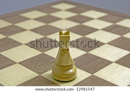 Chess Horse on Board