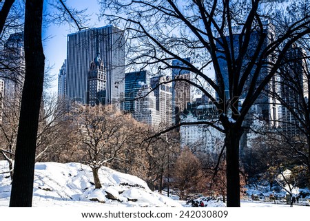 NEW YORK - January 25: View of Central Park in New York City, as seen on January 25, 2014. View from Central Park.
